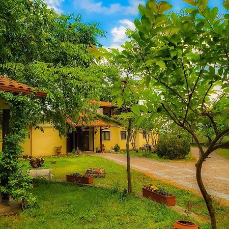 Villa Anthemia Naousa  Exteriér fotografie