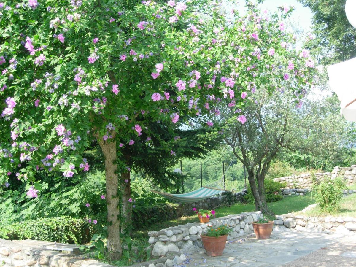 Villa Anthemia Naousa  Exteriér fotografie