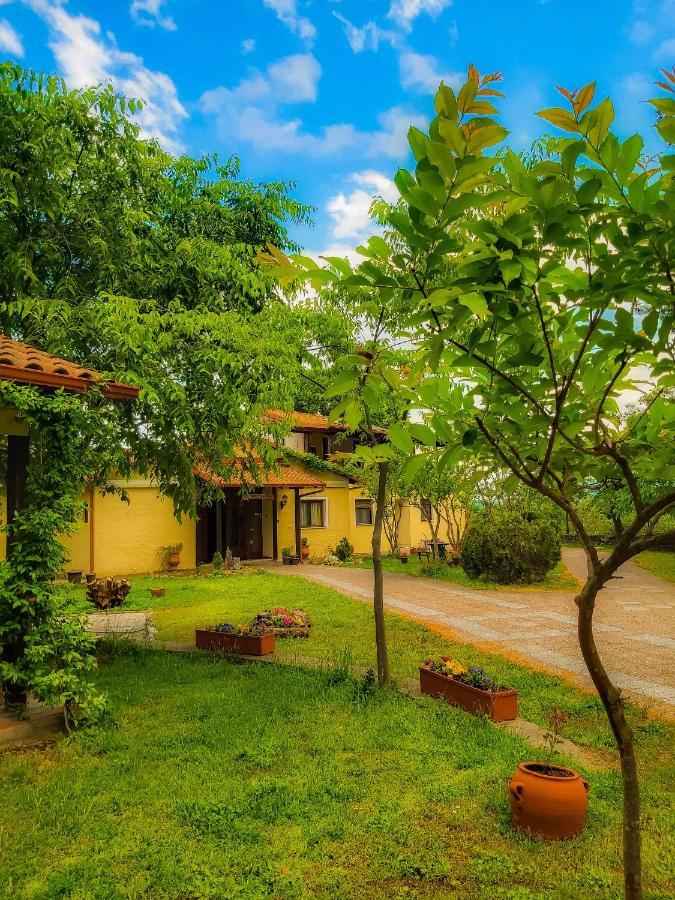 Villa Anthemia Naousa  Exteriér fotografie
