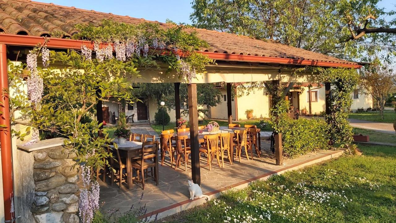 Villa Anthemia Naousa  Exteriér fotografie