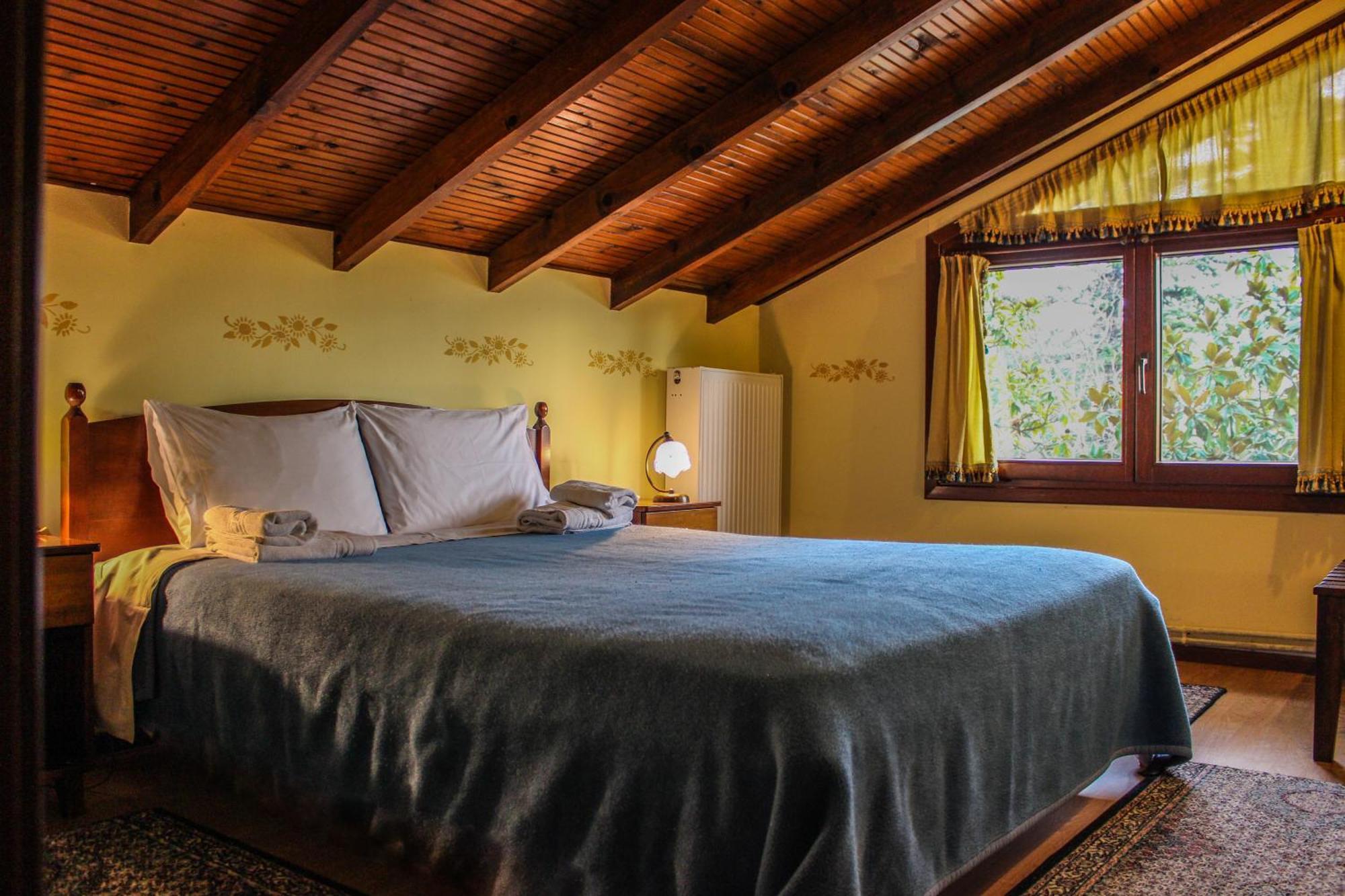 Villa Anthemia Naousa  Exteriér fotografie